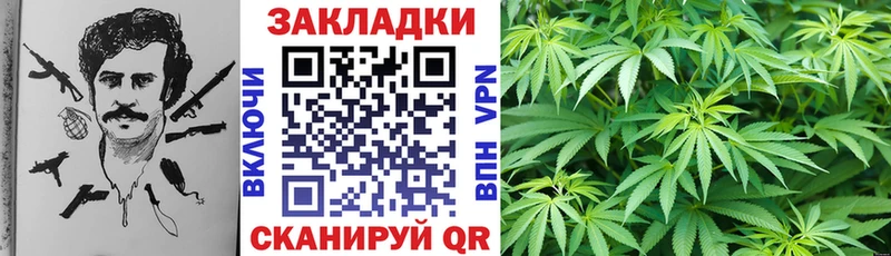 Купить закладку Галлюциногенные грибы  Alpha-PVP  Меф мяу мяу  Марихуана  ГАШИШ  Красный Сулин