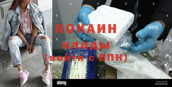 молекула духа Волоколамск