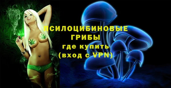 молекула духа Волоколамск